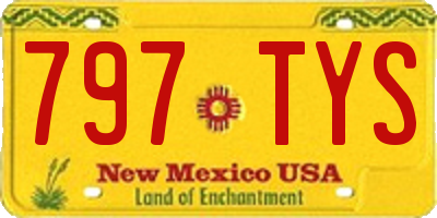 NM license plate 797TYS