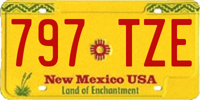 NM license plate 797TZE