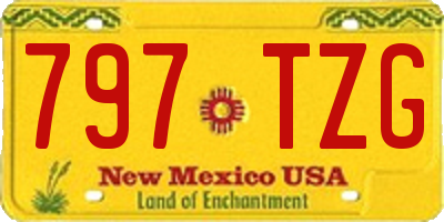 NM license plate 797TZG