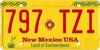 NM license plate 797TZI