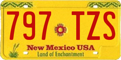 NM license plate 797TZS