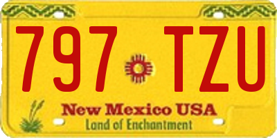 NM license plate 797TZU