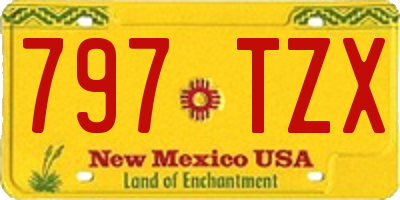 NM license plate 797TZX