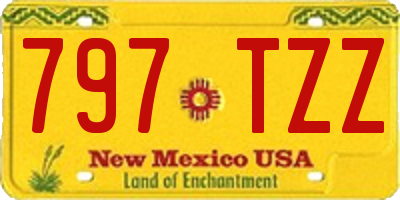 NM license plate 797TZZ