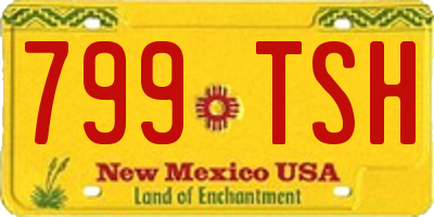 NM license plate 799TSH
