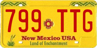 NM license plate 799TTG