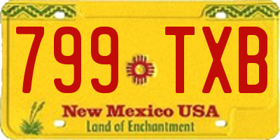 NM license plate 799TXB