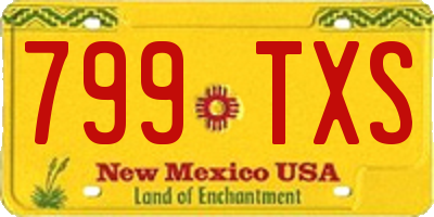 NM license plate 799TXS