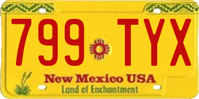 NM license plate 799TYX