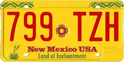 NM license plate 799TZH