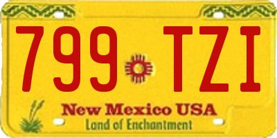NM license plate 799TZI