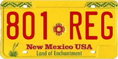 NM license plate 801REG