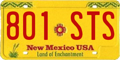 NM license plate 801STS