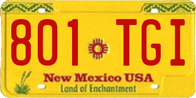 NM license plate 801TGI