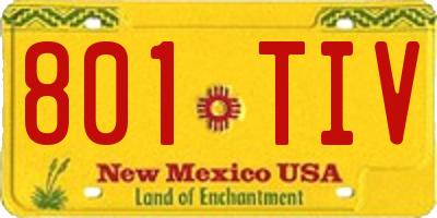 NM license plate 801TIV