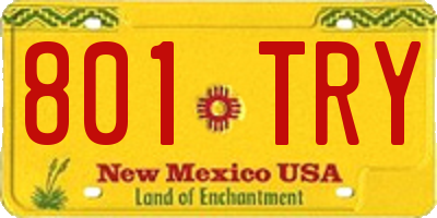 NM license plate 801TRY