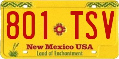 NM license plate 801TSV