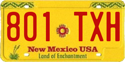 NM license plate 801TXH
