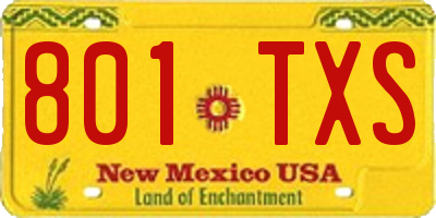 NM license plate 801TXS