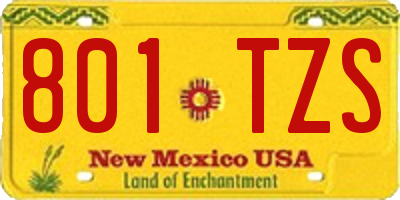 NM license plate 801TZS