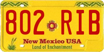 NM license plate 802RIB