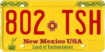NM license plate 802TSH