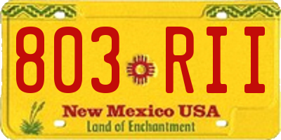 NM license plate 803RII