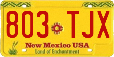 NM license plate 803TJX