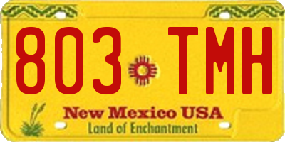 NM license plate 803TMH
