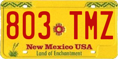 NM license plate 803TMZ