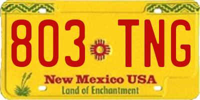 NM license plate 803TNG