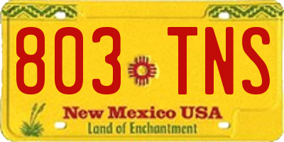 NM license plate 803TNS