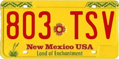 NM license plate 803TSV