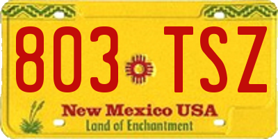 NM license plate 803TSZ