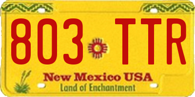NM license plate 803TTR