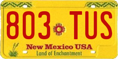 NM license plate 803TUS
