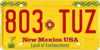 NM license plate 803TUZ