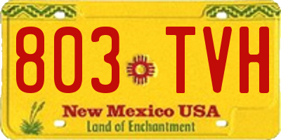 NM license plate 803TVH