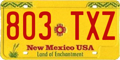NM license plate 803TXZ