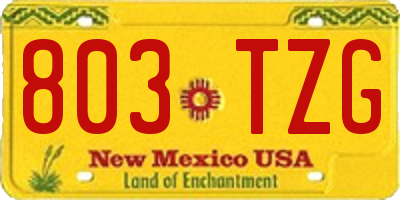 NM license plate 803TZG