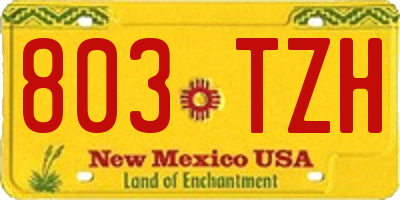 NM license plate 803TZH