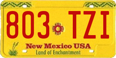 NM license plate 803TZI
