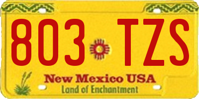 NM license plate 803TZS