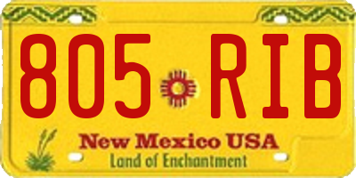 NM license plate 805RIB