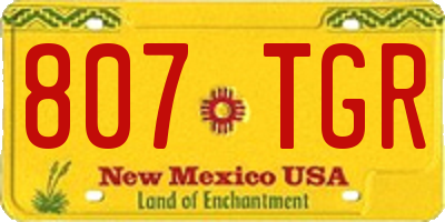 NM license plate 807TGR