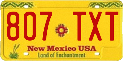NM license plate 807TXT