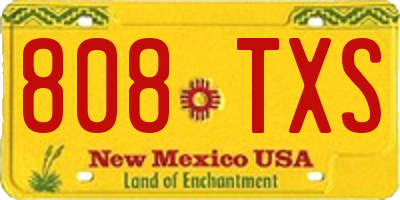 NM license plate 808TXS