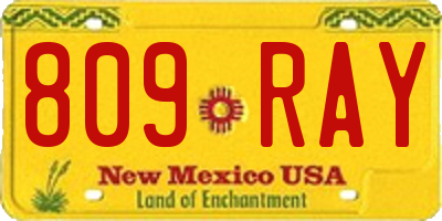 NM license plate 809RAY
