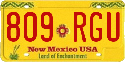 NM license plate 809RGU