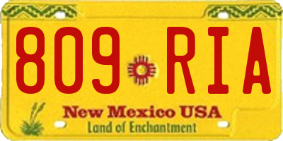 NM license plate 809RIA